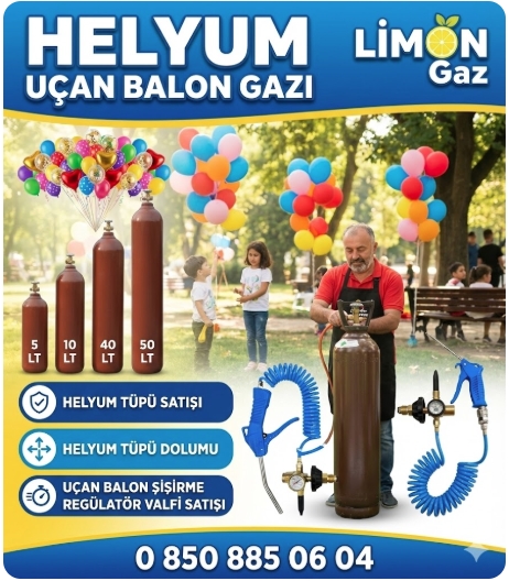 Doğum Günü Partisi